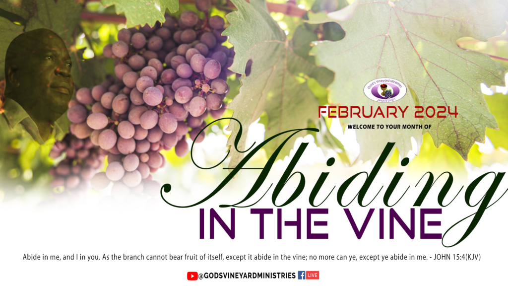 Abiding In The Vine